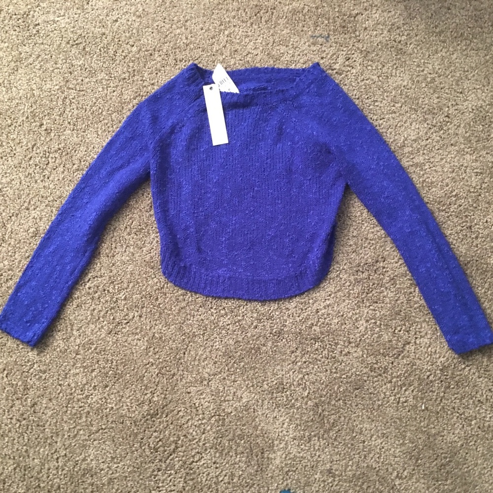Royal blue cropped sweater